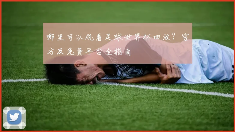 哪里可以观看足球世界杯回放？官方及免费平台全指南
