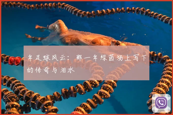 年足球风云:那一年绿茵场上写下的传奇与泪水