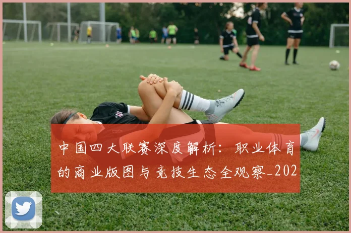 中国四大联赛深度解析:职业体育的商业版图与竞技生态全观察_20260610190253