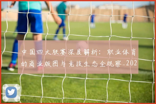 中国四大联赛深度解析：职业体育的商业版图与竞技生态全观察_20260610190253